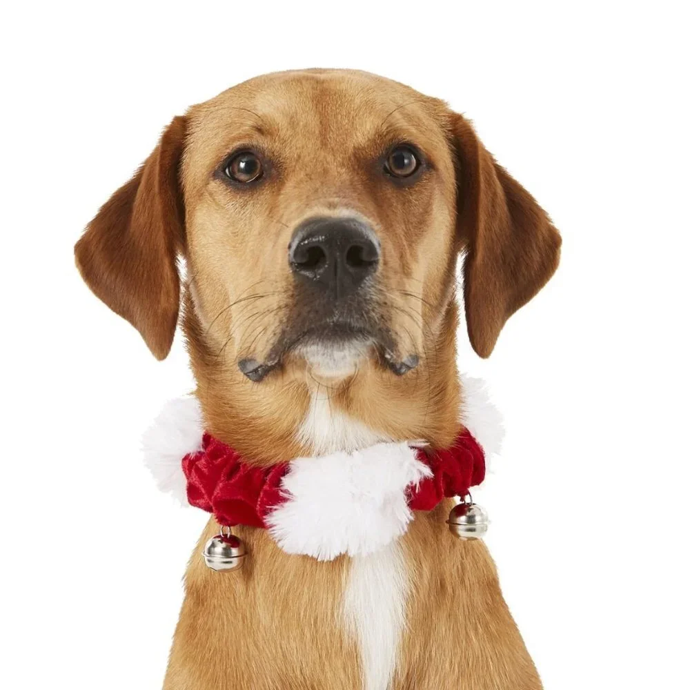 Jingle Bells Dog and Cat Holiday Collar with Bells